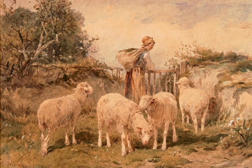 Pastorella con pecore